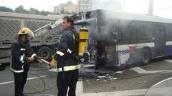 bus crash.jpg