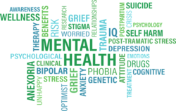 mental health.png