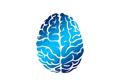 brain-2836401_640.png
